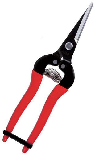 ARS HP-300LDX Stainless Steel Needle Nose Fruit Pruners 